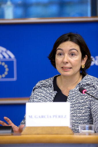 Photo 8: Delegation to the Euro-Latin American Parliamentary Assembly (DLAT) high-level seminar - ‘ The future is today : the European Union and the Americas facing a unique opportunity ’