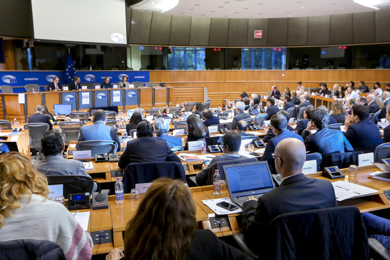 Photo 3: Delegation to the Euro-Latin American Parliamentary Assembly (DLAT) high-level seminar - ‘ The future is today : the European Union and the Americas facing a unique opportunity ’