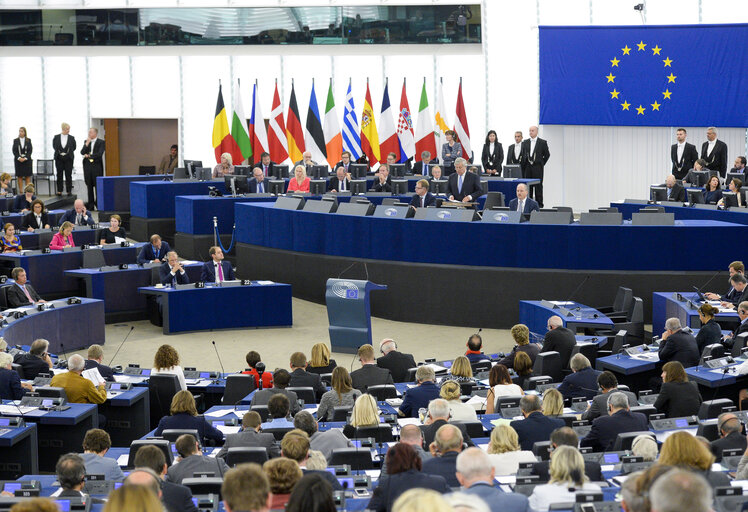 Photo 5 : Plenary session Week 27 2017 in Strasbourg