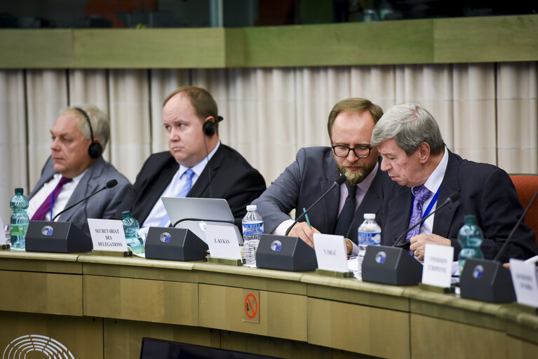 Fotografie 7: European union - Serbia stabilisation and association parliamentary committee (SAPC)