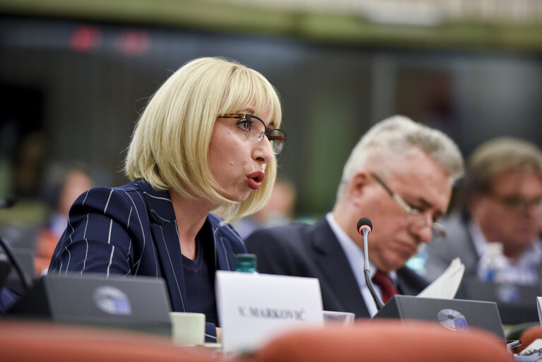 Fotografie 3: European union - Serbia stabilisation and association parliamentary committee (SAPC)