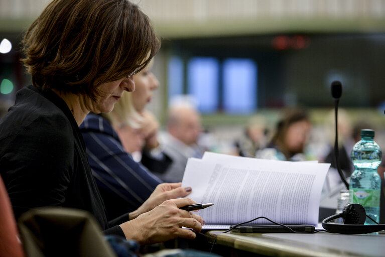 Fotografie 17: European union - Serbia stabilisation and association parliamentary committee (SAPC)