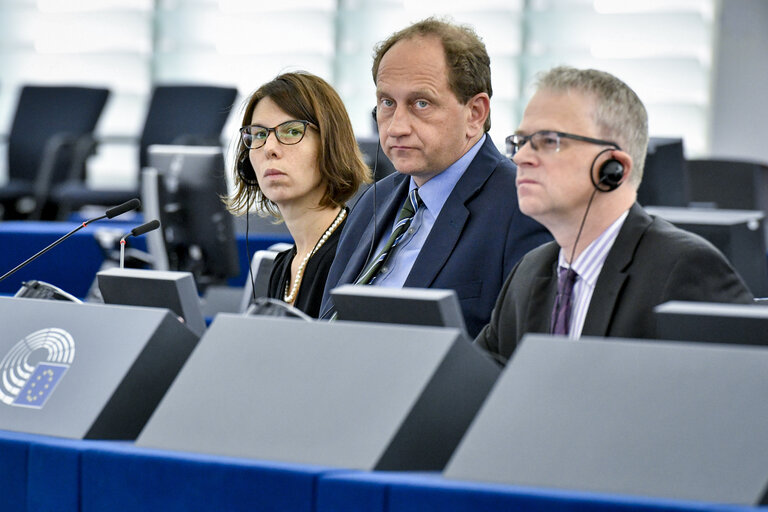 Plenary session week 37 2017 in Strasbourg - VOTES followed by explanations of votes