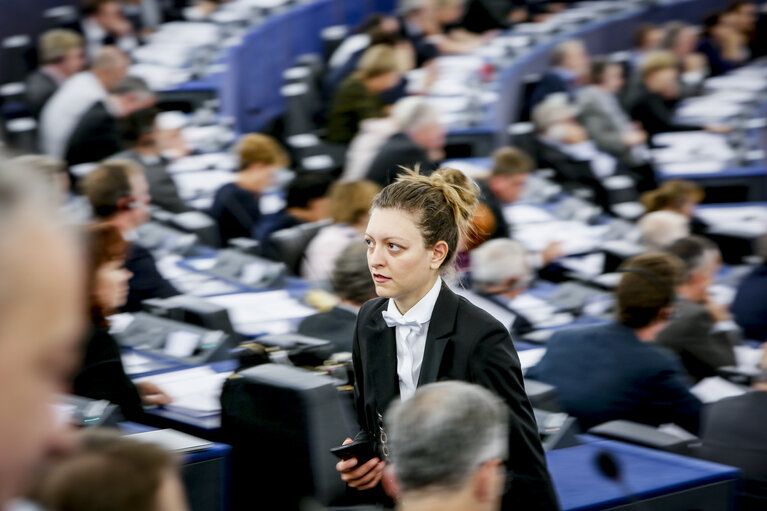 Fotografija 1: Plenary session week 37 2017 in Strasbourg - Myanmar, in particular the situation of Rohingyas