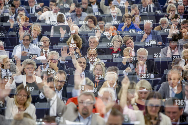 Fotografija 4: Plenary session week 37 2017 in Strasbourg - Myanmar, in particular the situation of Rohingyas