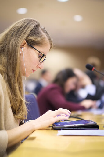 Fotó 2: High-level round table on the European Intergration Process of the Western Balkans in a Regional Perspective - Illustration picture of a woman typing on a tablet