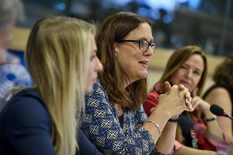 23rd EU-Mexico Joint Parliamentary Committee