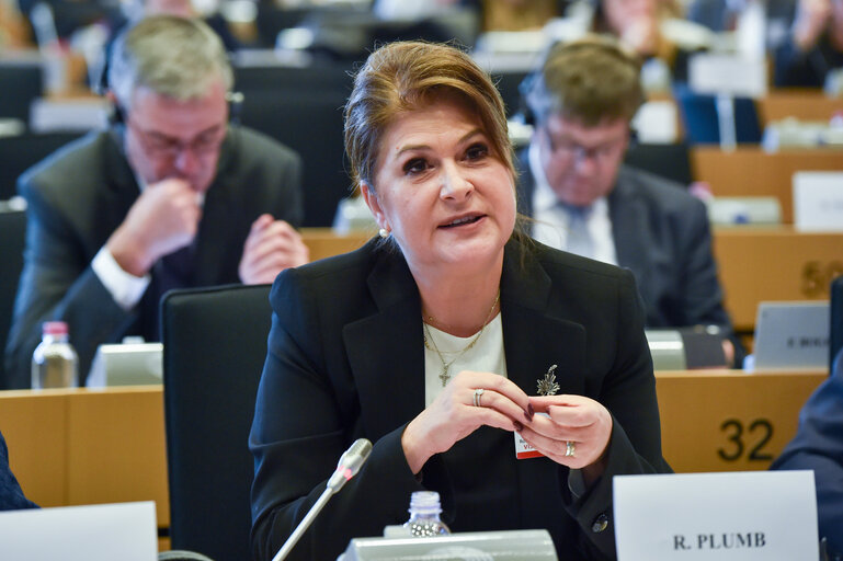 Foto 9: REGI - 6th Interparliamentary Committee meeting - ' The Future of Cohesion Policy post 2020 : Opportunities, Challenges and Next Steps '