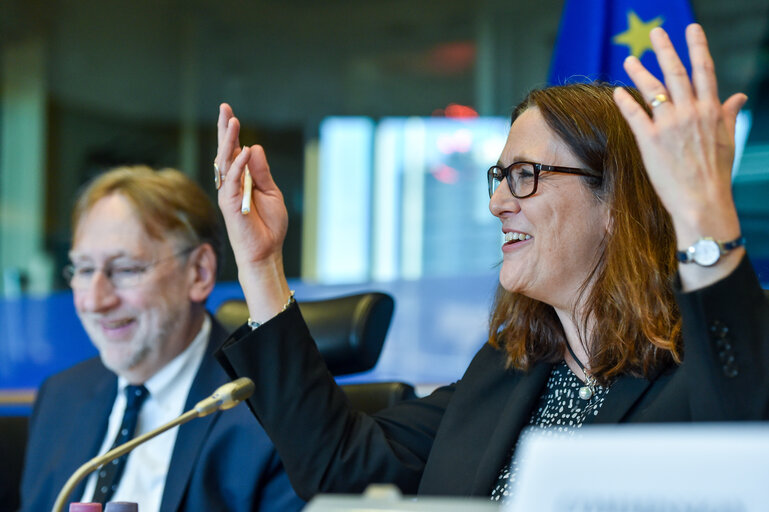 Fotografi 21: INTA public hearing - Trade Policy Day