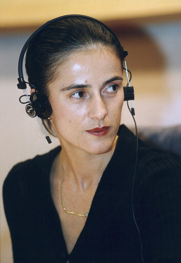 Photo 1: MEP in a meeting at the EP in Brussels