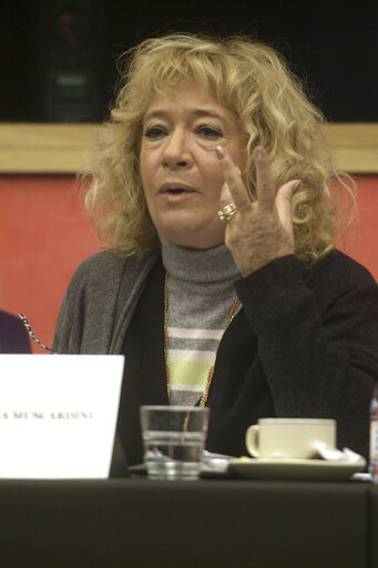 Billede 1: Cristiana MUSCARDINI in a meeting at the EP in Strasbourg.