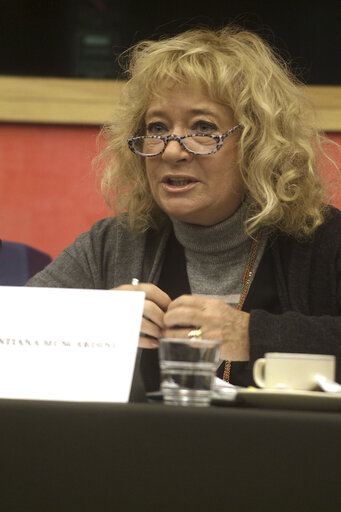 Billede 2: Cristiana MUSCARDINI in a meeting at the EP in Strasbourg.