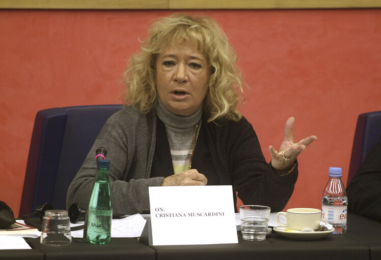 Billede 3: Cristiana MUSCARDINI in a meeting at the EP in Strasbourg.