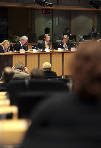 PETI Committee Hearing of candidates for the position of European Ombudsman.