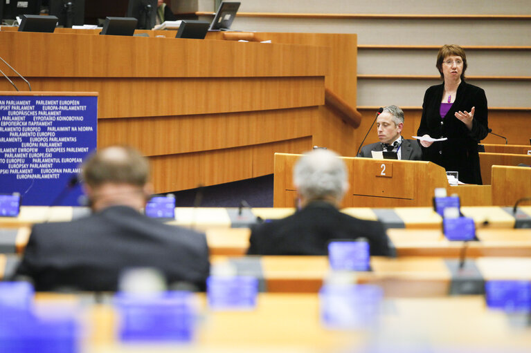 Plenary Session in Brussels - Week 5 - 2012