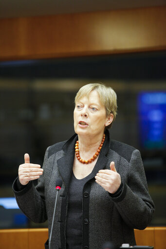 Plenary Session in Brussels - Week 5 - 2012