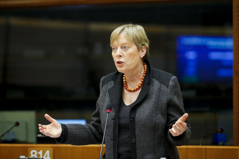 Fotogrāfija 29: Plenary Session in Brussels - Week 5 - 2012