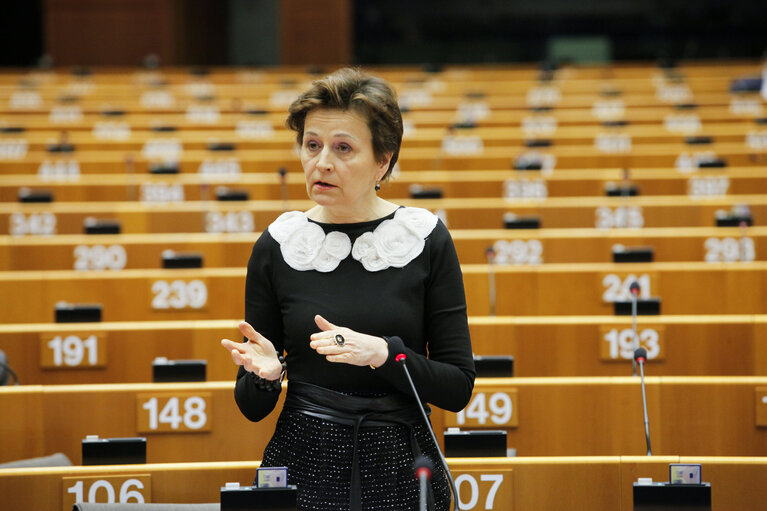 Снимка 24: Plenary Session in Brussels - Week 5 - 2012