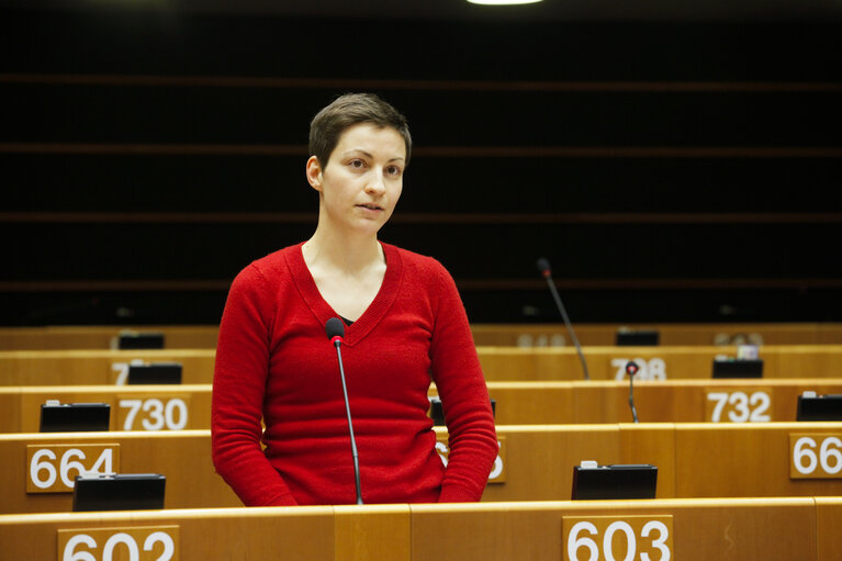 Plenary Session in Brussels - Week 5 - 2012