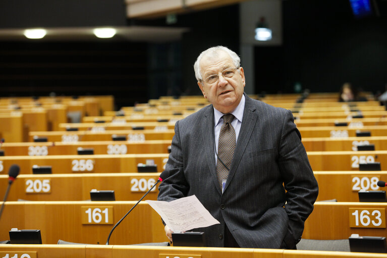 Plenary Session in Brussels - Week 5 - 2012