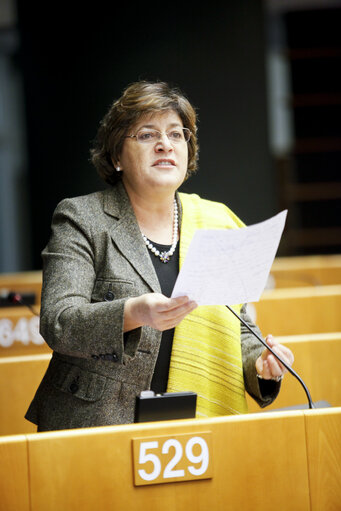 Plenary Session in Brussels - Week 5 - 2012