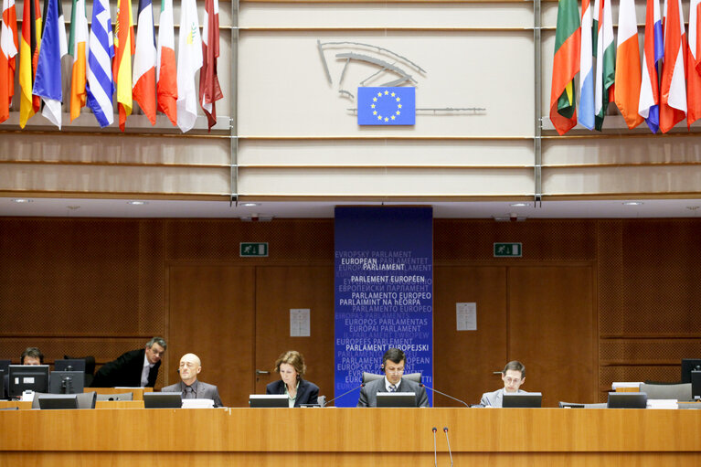 Foto 5: Plenary Session in Brussels - Week 5 - 2012