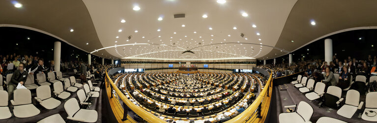 Plenary Session in Brussels - Week 5 - 2012