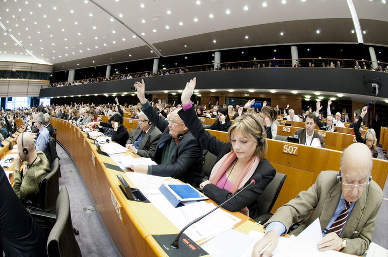 Fotogrāfija 1: Plenary Session in Brussels - Week 5 - 2012