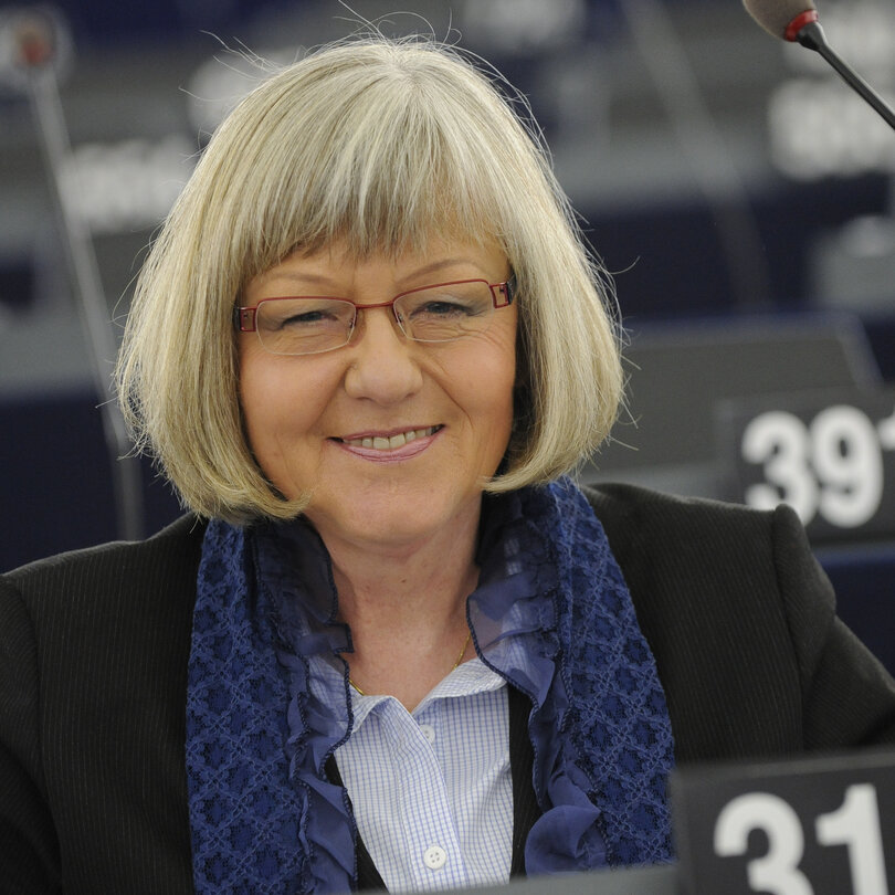 Plenary Session in Strasbourg - Week 7 - 2012