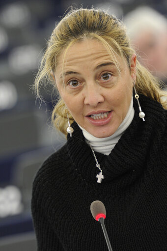 Plenary Session in Strasbourg - Week 7 - 2012