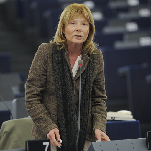 Снимка 6: Plenary Session in Strasbourg - Week 7 - 2012