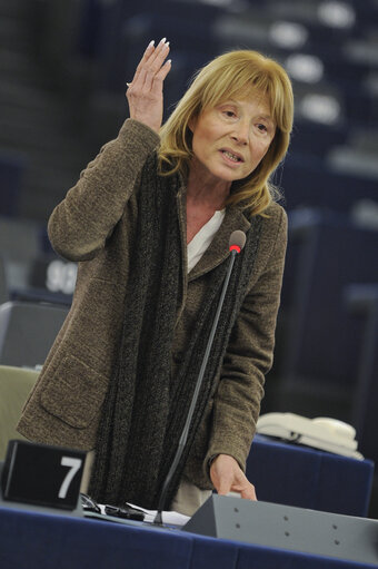 Снимка 5: Plenary Session in Strasbourg - Week 7 - 2012