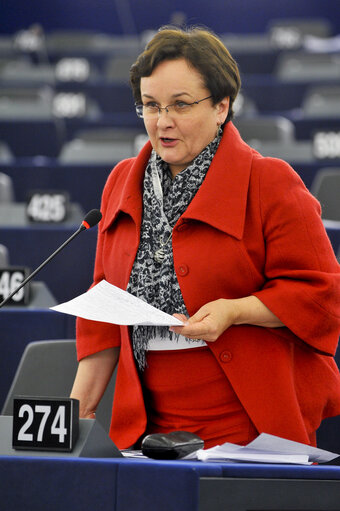 Plenary Session in Strasbourg - Week 7 - 2012