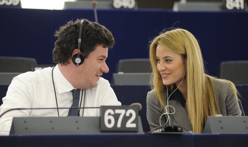 Снимка 19: Plenary Session in Strasbourg - Week 7 - 2012