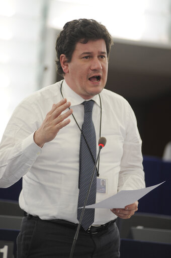 Снимка 10: Plenary Session in Strasbourg - Week 7 - 2012