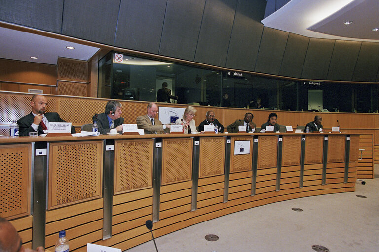 Fotografia 6: EP-ACP meeting.