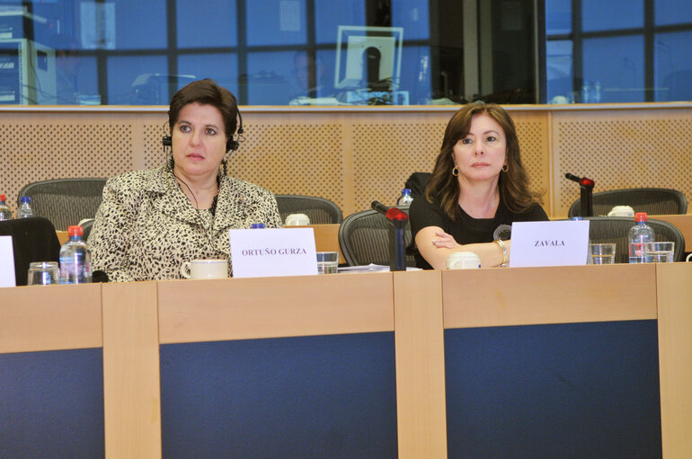 Foto 20: Joint parliamentary committee meeting EU - Mexico.