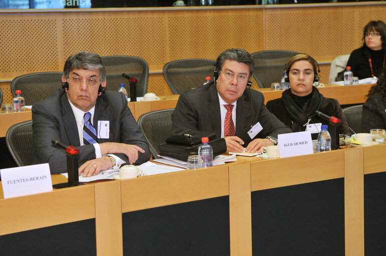 Foto 19: Joint parliamentary committee meeting EU - Mexico.