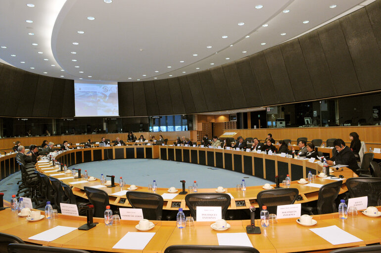 Foto 12: Joint parliamentary committee meeting EU - Mexico.