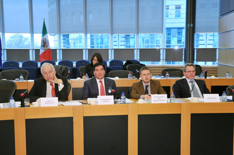 Foto 21: Joint parliamentary committee meeting EU - Mexico.