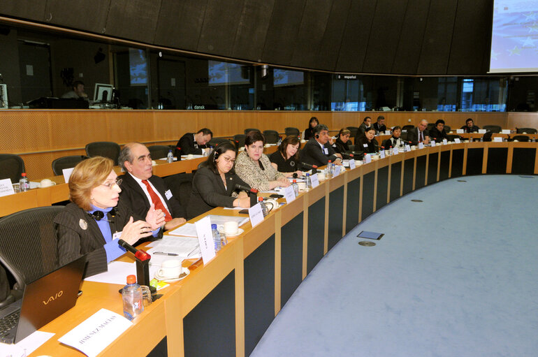 Foto 14: Joint parliamentary committee meeting EU - Mexico.