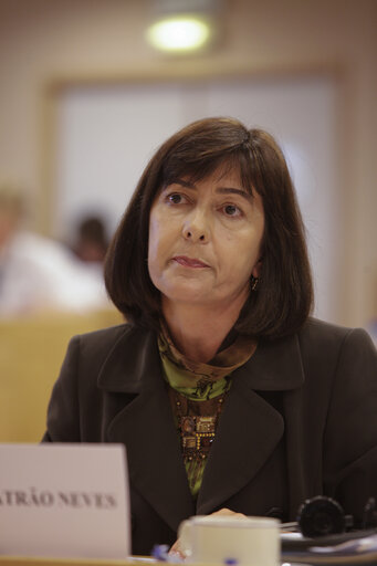 Fotografija 3: Maria do Ceu PATRAO NEVES in a meeting at the EP in Brussels.