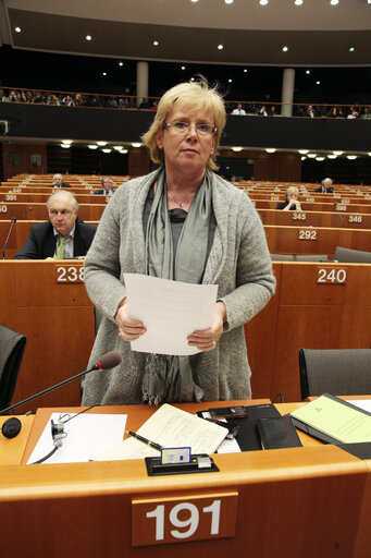 Lena EK  at the EP in Brussels.