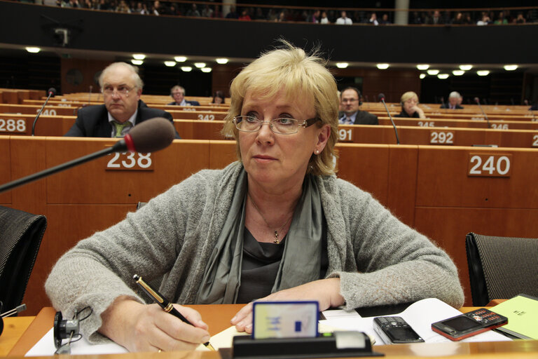 Lena EK  at the EP in Brussels.