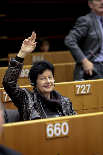 Foto 5: Joanna SENYSZYN  at the EP in Brussels.