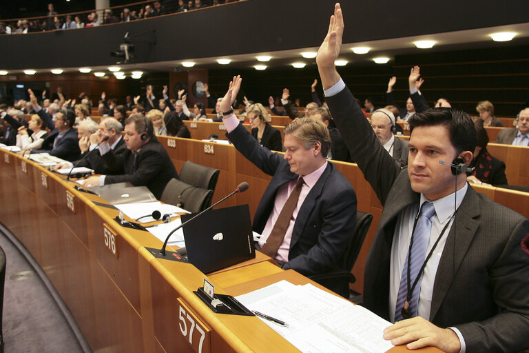 Valokuva 8: Petru Constantin LUHAN at the EP in Brussels.