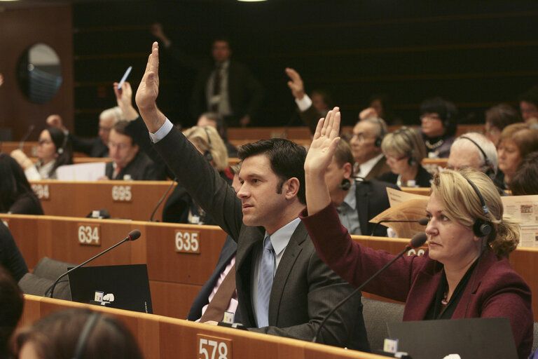 Petru Constantin LUHAN at the EP in Brussels.