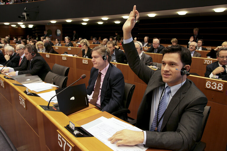 Valokuva 9: Petru Constantin LUHAN at the EP in Brussels.
