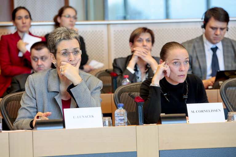 Photo 9 : AFET Hearing on the future financing of enlargement