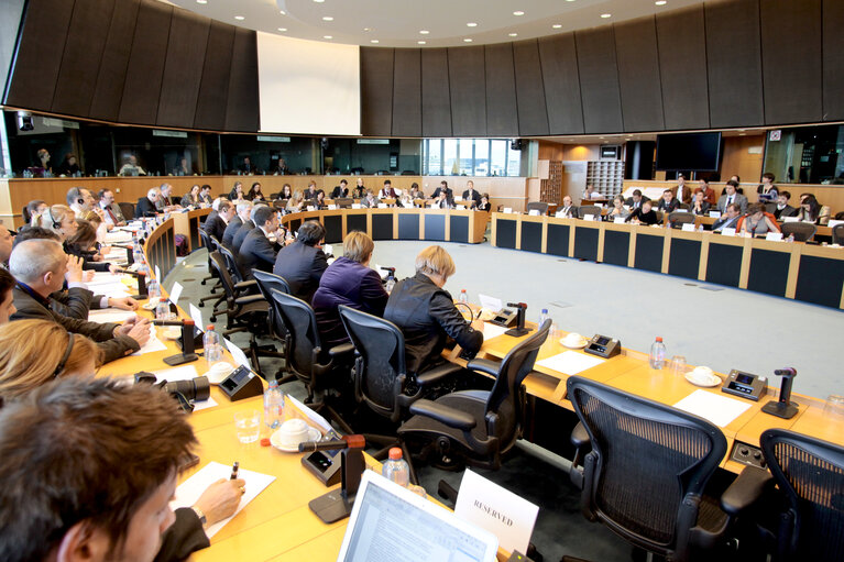 Fotografija 2: AFET Hearing on the future financing of enlargement